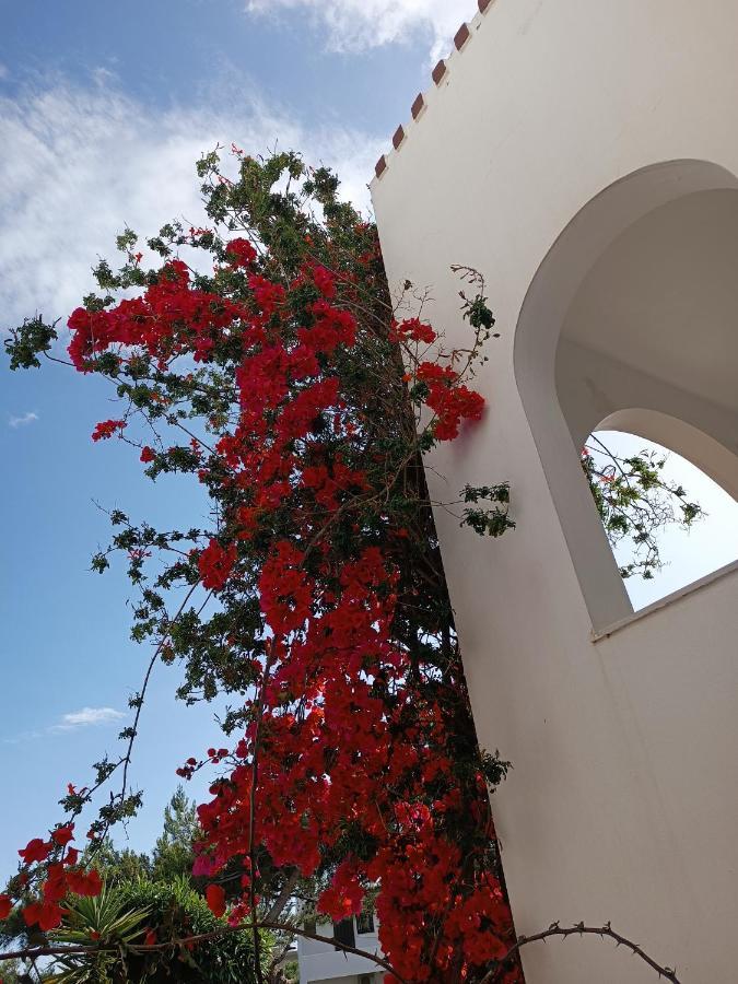 Castello Verde Plakias Exterior photo